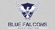 Blue Falcons Investigation